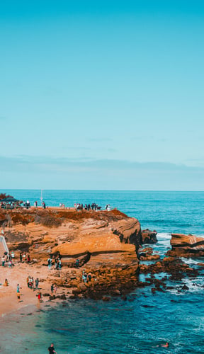 La Jolla Cove beach with palm trees and clear blue Pacific water