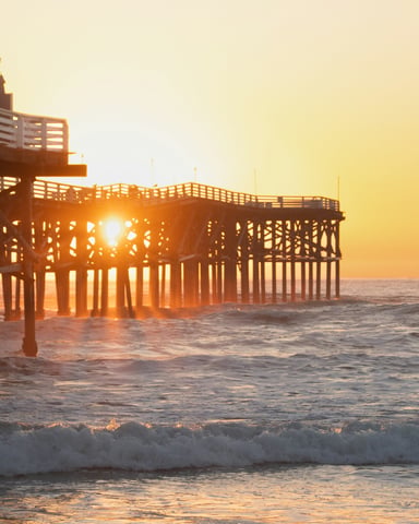 Mission Beach boardwalk with palm trees and ocean views